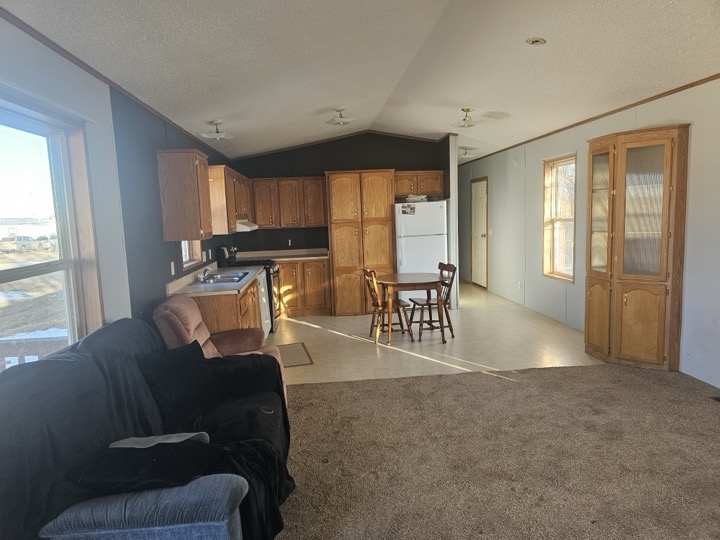 Living room and kitchen