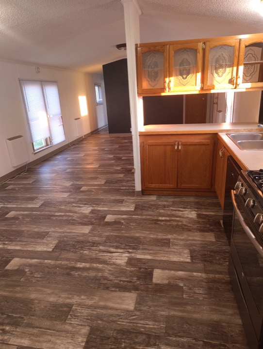 Kitchen and living area